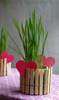 Image result for Clothespin DIY