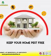 Image result for Pest Free! Tennessee