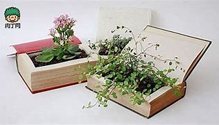 Image result for Book Plant Pot