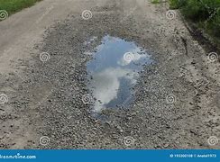 Image result for Giant Puddle Dog