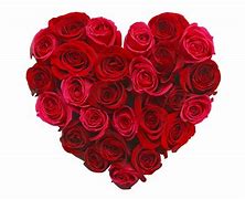 Image result for red heart flowers