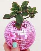 Image result for Disco Ball Schoolcraft