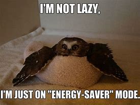 Image result for Memes About Laziness