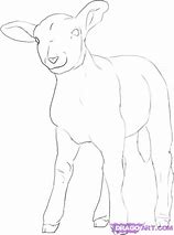 Image result for Drawing of Lamb