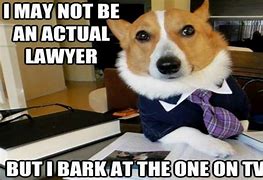 Image result for Dog Attorney Meme