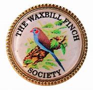 Image result for Waxbill Finch Nest