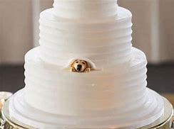 Image result for Dog Wedding Cake