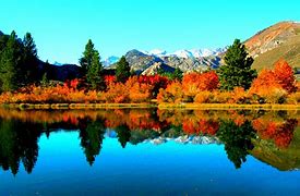 Image result for Autumn Lake Dock