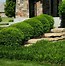 Image result for Landscaping with Boxwood Shrubs