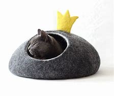 Image result for Cute Cat Crown Bed