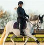 Image result for Equestrian Use of Roadways