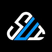 Image result for Sui Logo without BG