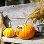 Image result for Pumpkin Design Print Outs