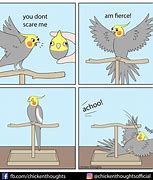 Image result for Bird Watch Meme