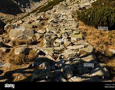 Image result for Stone Steos in Grass