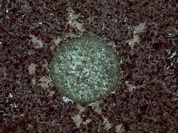 Image result for Chlorite Basalt