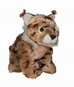 Image result for Lynx Rufus Stuffed Animal