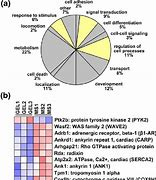 Image result for Gene Microarray