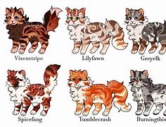 Image result for Kit Names Warrior Cats