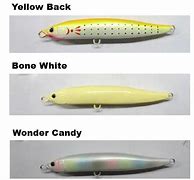 Image result for Shimano Lures