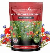 Image result for Flowers Seeds