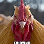 Image result for Crazy Chicken Meme