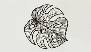 Image result for Leaf Line Art for Beginners