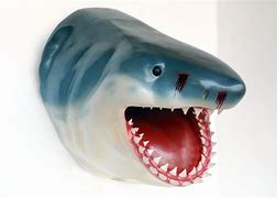 Image result for Shark Mount