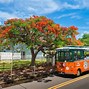 Image result for Key West Trolley