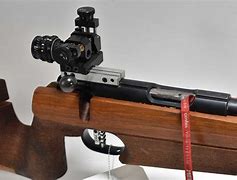 Image result for 22LR Match Rifle