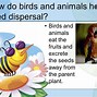 Image result for Seed Dispersal Clip Art