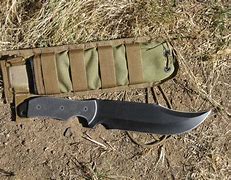 Image result for Fixed Blade with MOLLE Sheath