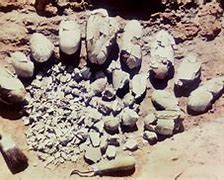 Image result for Gobi Dinosaur Eggs