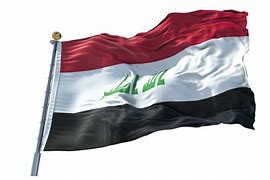 Image result for Iraq Flag Patch PNG