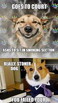 Image result for Dog Attorney Meme