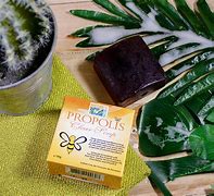 Image result for Propolis Soap