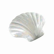 Image result for Clam Shell Bin