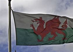 Image result for Welsh Dragon Flag