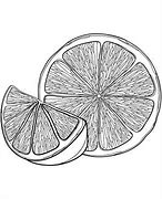 Image result for Lime Clip Art Outline