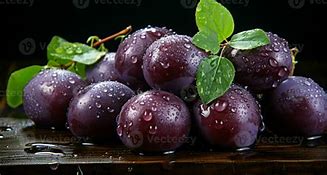 Image result for Damson Colour Scheme