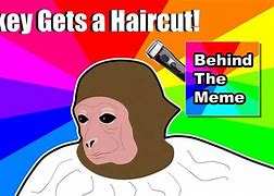 Image result for Cutting Monkey Hair Meme