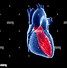 Image result for Left Atrium Anatomy