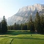 Image result for Wildlife On Banff Golf Course