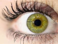 Image result for Green Eyes with Yellow Star