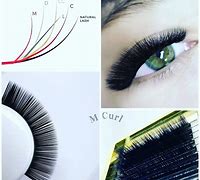 Image result for Eyelash Crust