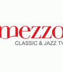 Image result for Mezzo Logo Orange