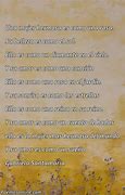 Image result for Poemas Para Una Mujer Hermosa