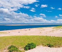 Image result for Cape Cod Beach