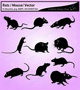 Image result for Rat Hanging SVG