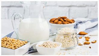 Image result for Protein without Dairy